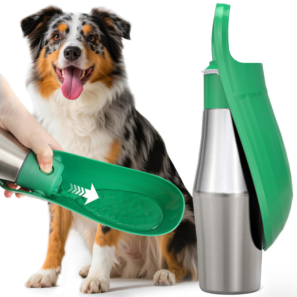 Botella Lesotc para perros 27oz en verde con cuenco integrado para beber al aire libre.