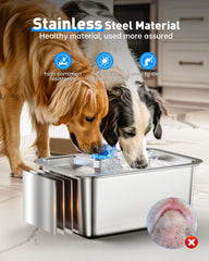 Lesotc zona bebida profunda grandes mascotas, postura natural al beber.