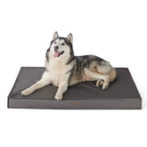 LE SURE cama para perros grandes en exterior, protege contra lluvia con funda impermeable.