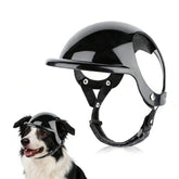 Casco LESYPET para perro mediano colocado en la cabeza, protección para paseos diarios