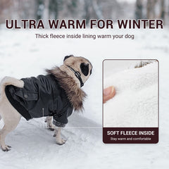 Lesypet cazadora perro anti lluvia: abrigo impermeable para salidas al exterior