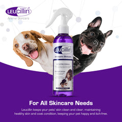 Leucillin piel irritada perro, cuida la piel con delicadeza.