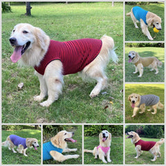LEVIBASIC conjunto de dos camisetas para perros, opción práctica para cambios.