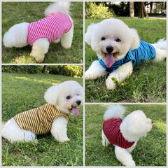 Conjunto de dos camisetas LEVIBASIC para perros con rayas, uso diario.