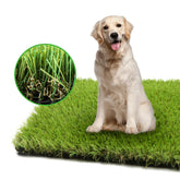 El césped artificial de LGR SHINE para perros es ideal para entrenamiento en el patio.