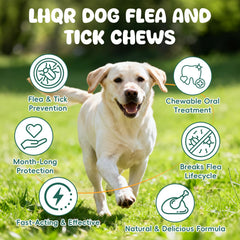 LHQR ingrediente natural extracto neem y aceite de linaza