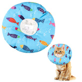 Collar libfrnt para gato con forma de dona, facilita la recuperación y protege la herida.