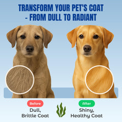 Life Line Organic Ocean Kelp: etiqueta USDA certificado, seguridad para mascotas.