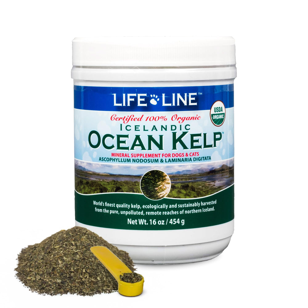 Life Line alga oceánica frasco: uso diario para piel y pelaje.