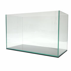 Acuario Lifegard Aquatics de 10 galones con vidrio claro y sin marco para visión nítida.