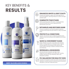 Shampoo sin agua Berry Blue para uso entre baños, aroma a arándano.