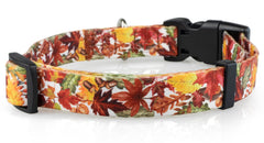 Diseño ajustable Limeloot para tallas S, M y L con hebilla duradera