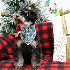 Diseño colorido y único Lionet Paws para sesiones y fotos