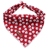 Bandana navidad para perro Lionet Paws, ideal para fotos festivas