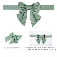 Lionet Paws Collar adecuado para cuellos de 10-16 pulgadas, ajuste seguro.