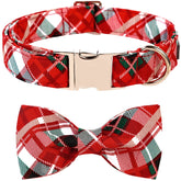 Lionet Paws collar con lazo detalle: estilo elegante para sesiones de fotos.