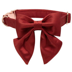 Lionet Paws collar con lazo desmontable para perros