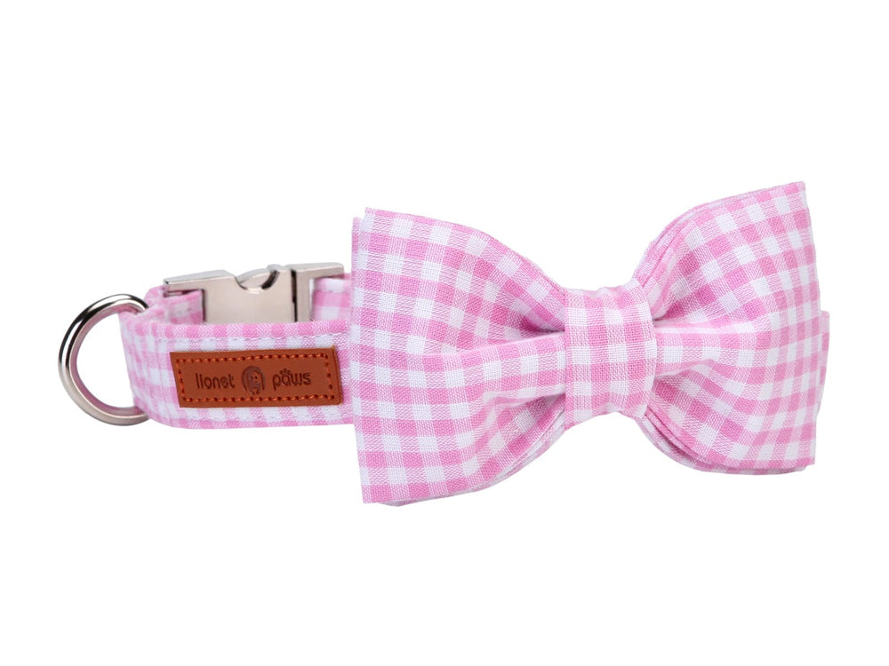 Collar Lionet Paws con lazo, ideal para paseos diarios con estilo.