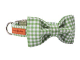 Collar Lionet Paws con lazo: diseño elegante y cómodo para paseos.