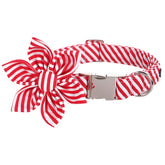 Lionet Paws collar flor: diseño suave para paseos cómodos