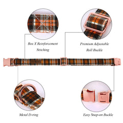 Collar Lionet Paws con hebilla de metal para paseos seguros.