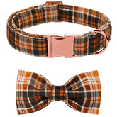 Collar Lionet Paws con lazo desmontable para atuendos festivos.