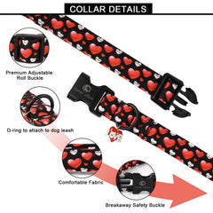 Collar Lionet Paws hebilla plástica, seguro y fácil de colocar.