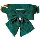 Lionet Paws collar-lazo-desmontable: estilo versátil para ocasiones especiales.