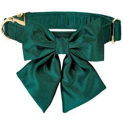 Lionet Paws collar-lazo-desmontable: estilo versátil para ocasiones especiales.