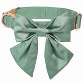 Lionet Paws Lazo desmontable en el collar, ideal para eventos y paseos.