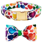 Collar Lionet Paws con lazo removible para estilo versátil.