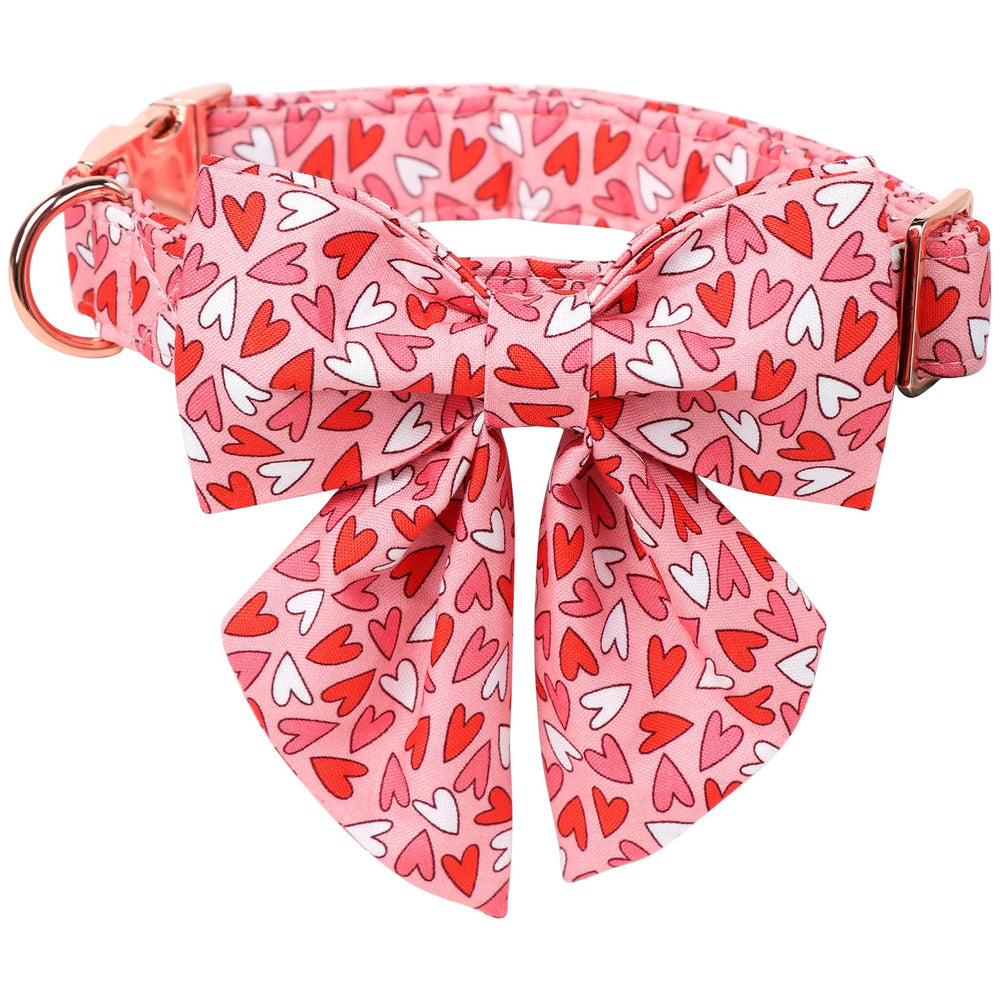 Collar Lionet Paws con pajarita marinera, ideal para salidas y sesiones de fotos.