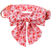 Collar Lionet Paws con pajarita marinera, ideal para salidas y sesiones de fotos.