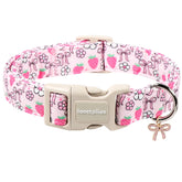 Collar Lionet Paws para perro en color fresa rosa, ideal para paseos diarios.