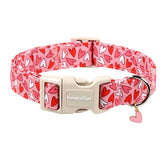 Lionet Paws collar rosa con corazon y hebilla plástica, ideal para salidas diarias.