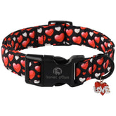 Collar Lionet Paws San Valentín con corazon rosa para paseos cómodos.
