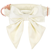 Collar Lionet Paws con lazo desmontable para eventos elegantes
