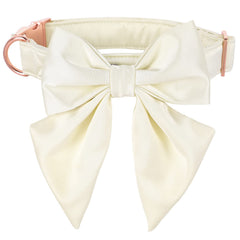 Collar Lionet Paws con lazo desmontable para eventos elegantes