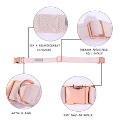 lionet paws collar de seda suave brinda comodidad diaria.