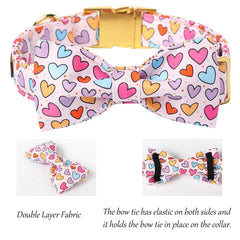 Lionet Paws collar para ocasiones especiales y fotos familiares al aire libre.