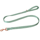 Lionet Paws: correa de perro en seda verde, perfecta para paseos diarios
