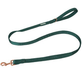Lionet Paws correa de seda verde para perro XS, paseo cómodo y control seguro.