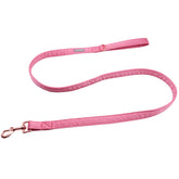 Lionet Paws correa seda durazno para perros, paseo suave y cómodo.