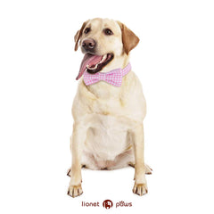 Lazo desmontable de Lionet Paws, fácil de combinar con otros collares.