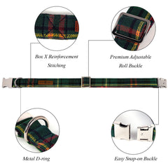 Pajarita y collar Lionet Paws con ajuste robusto para perros grandes.