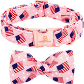 Collar Lionheart Glory con bandera americana, ideal para fiestas patrias.