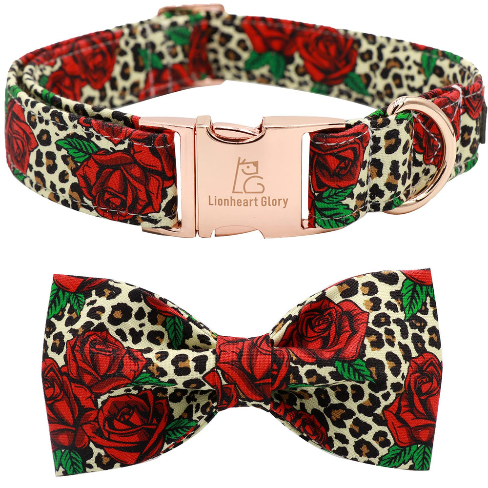 Lionheart glory collar con lazo detalle: accesorio suave y duradero para paseos diarios