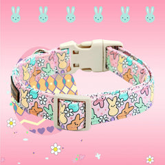 Collar Lionheart Glory con diseño primaveral colorido para expresar la personalidad del perro.