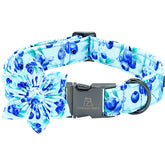 Collar Lionheart Glory con flor arándanos imprime, perfecto para paseos con estilo.