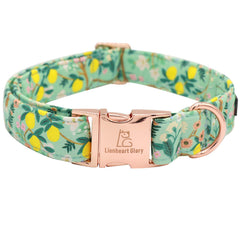 Lionheart glory collar floral con moño frontal, cómodo para paseos diarios.